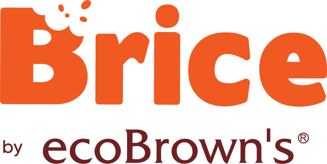 Brice Eco Brown Logo Logo
